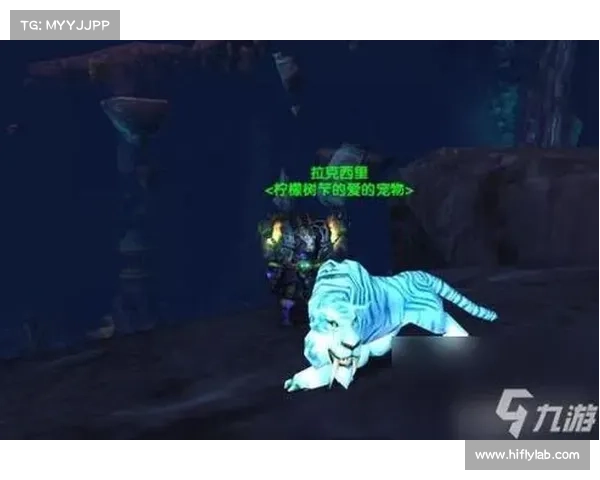 魔兽世界猎人如何击败玩家